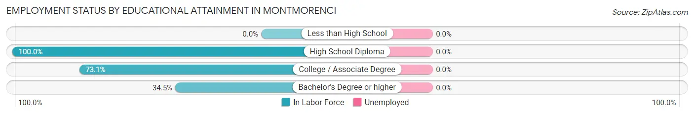 Employment Status by Educational Attainment in Montmorenci