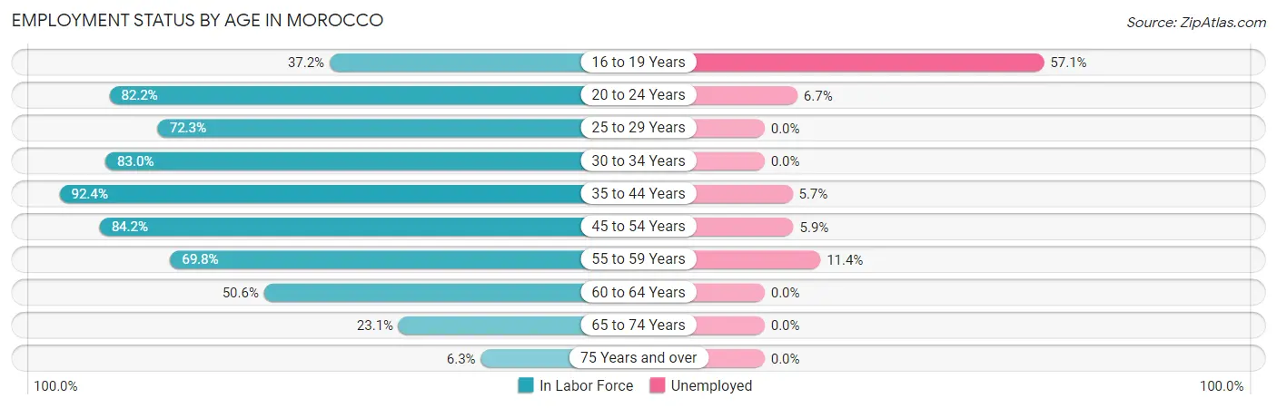 Employment Status by Age in Morocco