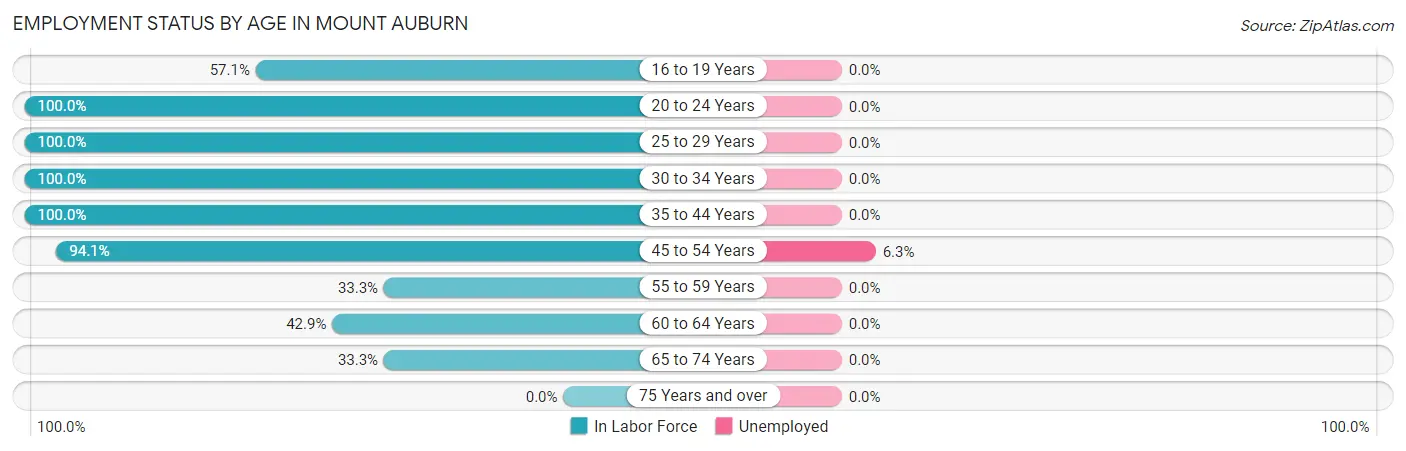 Employment Status by Age in Mount Auburn