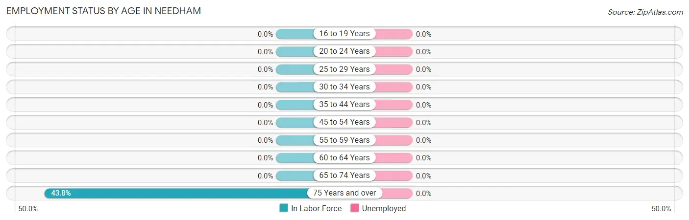 Employment Status by Age in Needham