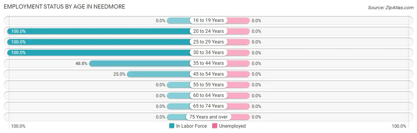 Employment Status by Age in Needmore