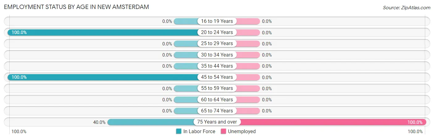 Employment Status by Age in New Amsterdam