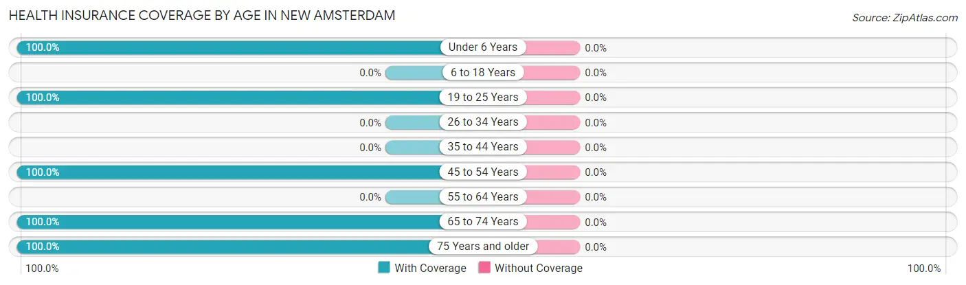 Health Insurance Coverage by Age in New Amsterdam