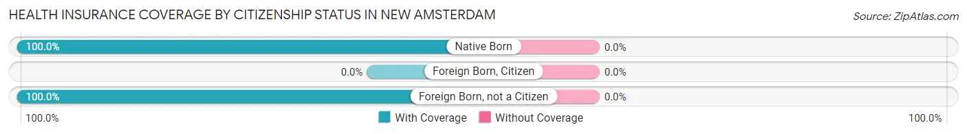 Health Insurance Coverage by Citizenship Status in New Amsterdam