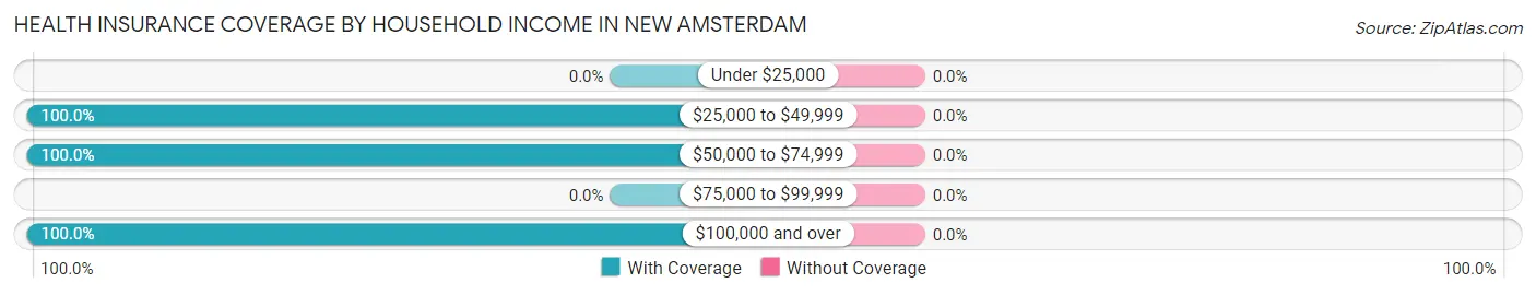 Health Insurance Coverage by Household Income in New Amsterdam