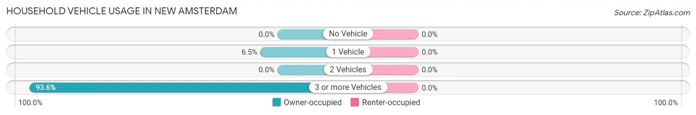 Household Vehicle Usage in New Amsterdam
