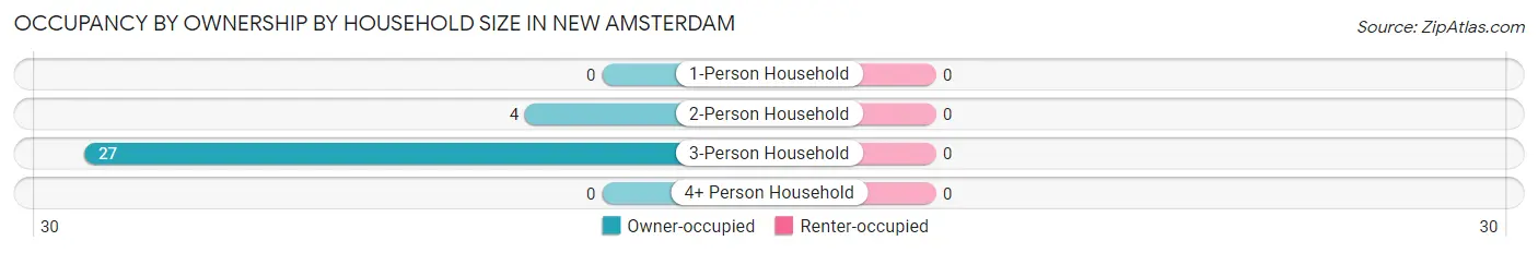 Occupancy by Ownership by Household Size in New Amsterdam