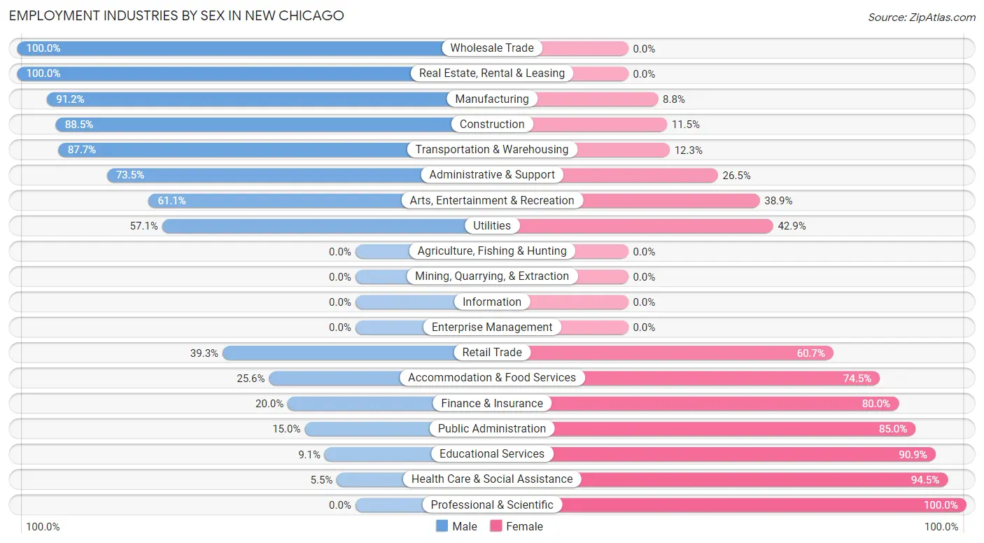 Employment Industries by Sex in New Chicago