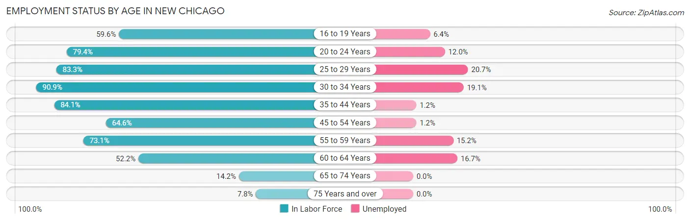 Employment Status by Age in New Chicago