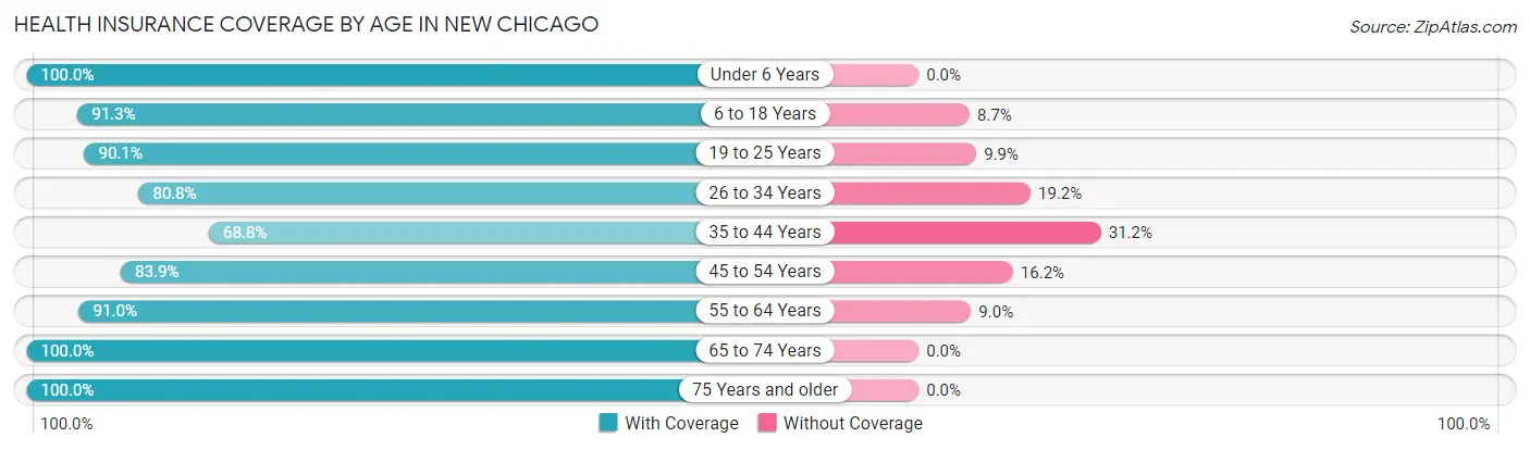 Health Insurance Coverage by Age in New Chicago