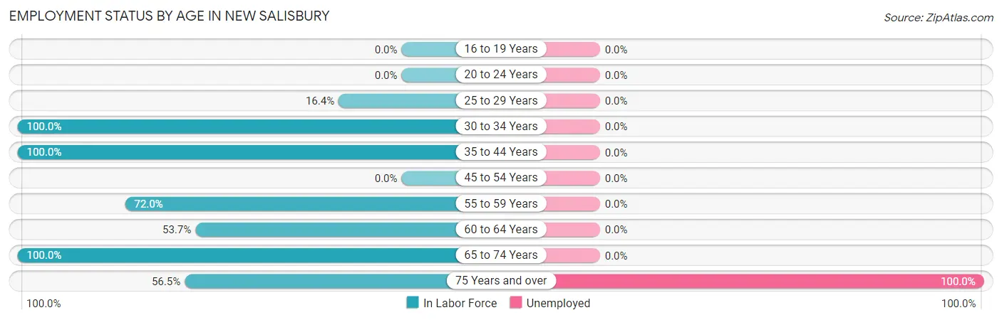 Employment Status by Age in New Salisbury