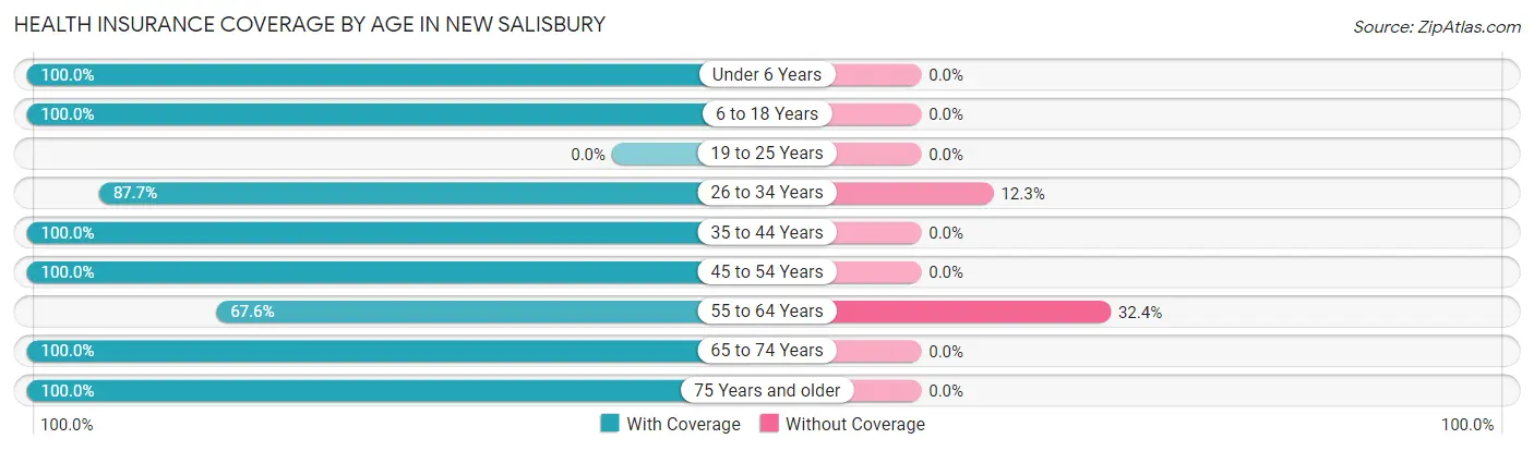 Health Insurance Coverage by Age in New Salisbury