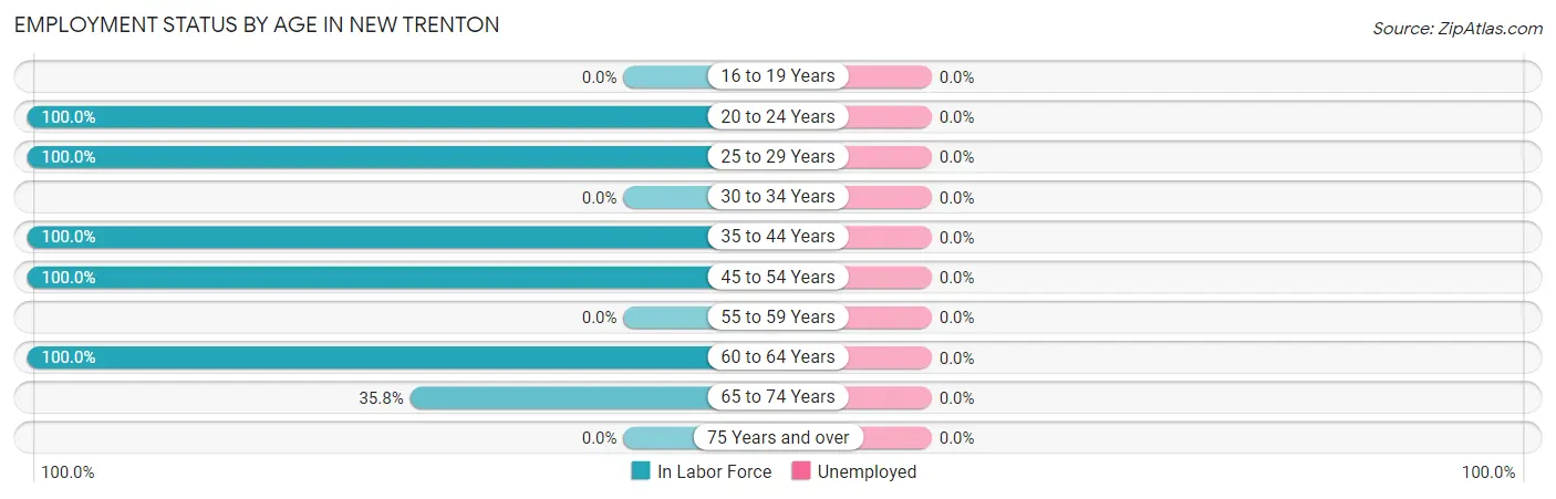 Employment Status by Age in New Trenton