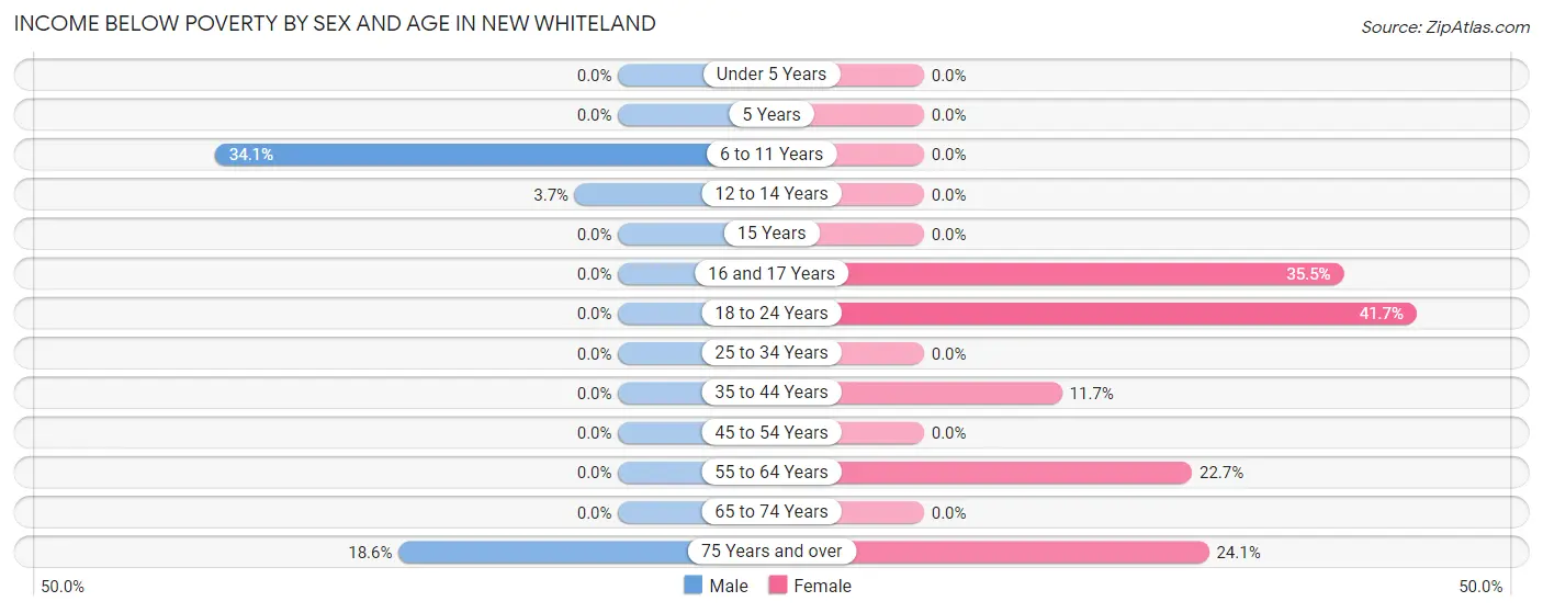 Income Below Poverty by Sex and Age in New Whiteland