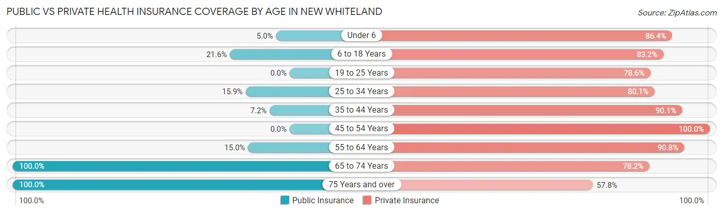 Public vs Private Health Insurance Coverage by Age in New Whiteland