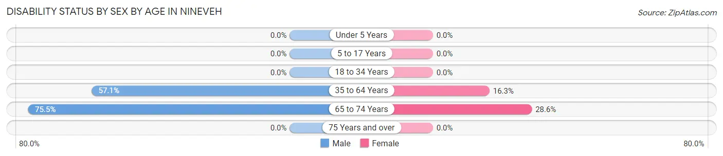 Disability Status by Sex by Age in Nineveh