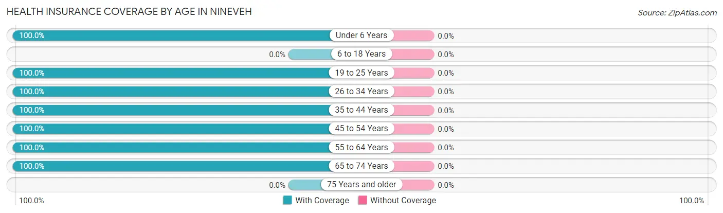 Health Insurance Coverage by Age in Nineveh