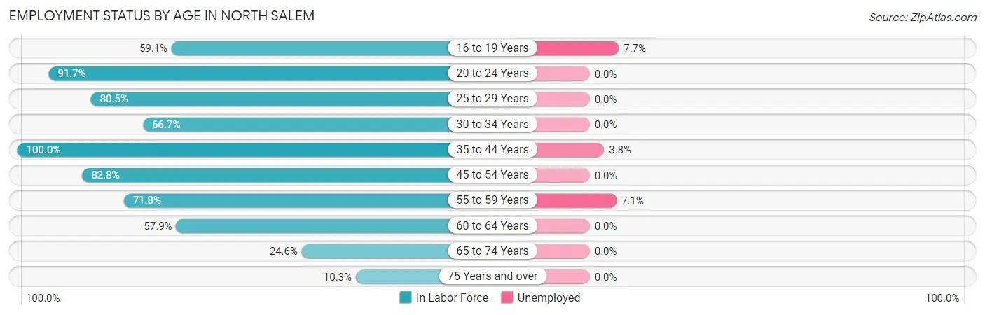 Employment Status by Age in North Salem