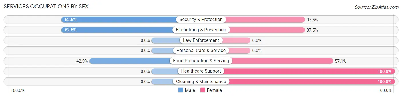 Services Occupations by Sex in North Salem