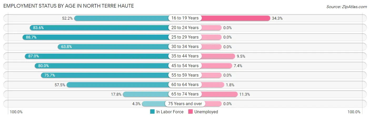 Employment Status by Age in North Terre Haute