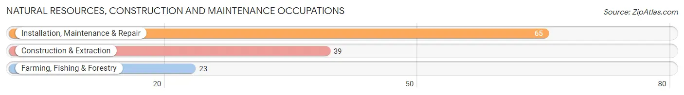 Natural Resources, Construction and Maintenance Occupations in North Terre Haute