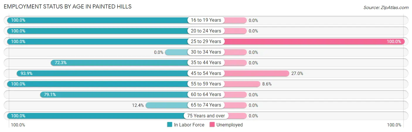 Employment Status by Age in Painted Hills
