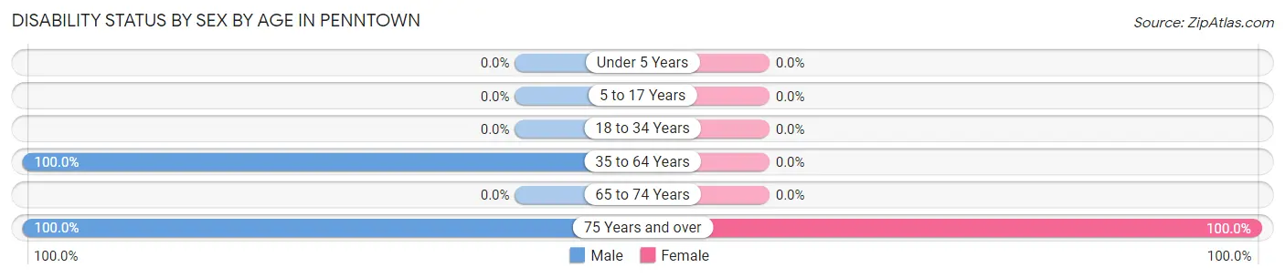Disability Status by Sex by Age in Penntown