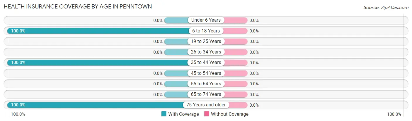 Health Insurance Coverage by Age in Penntown