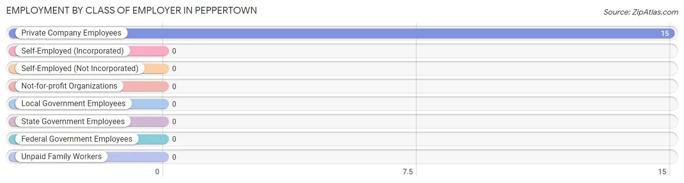 Employment by Class of Employer in Peppertown