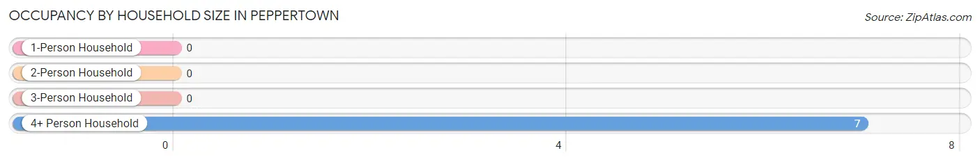 Occupancy by Household Size in Peppertown