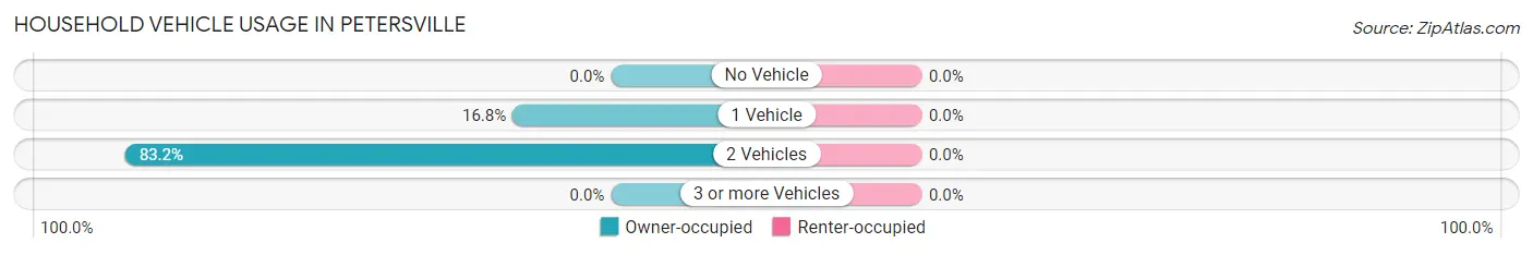 Household Vehicle Usage in Petersville