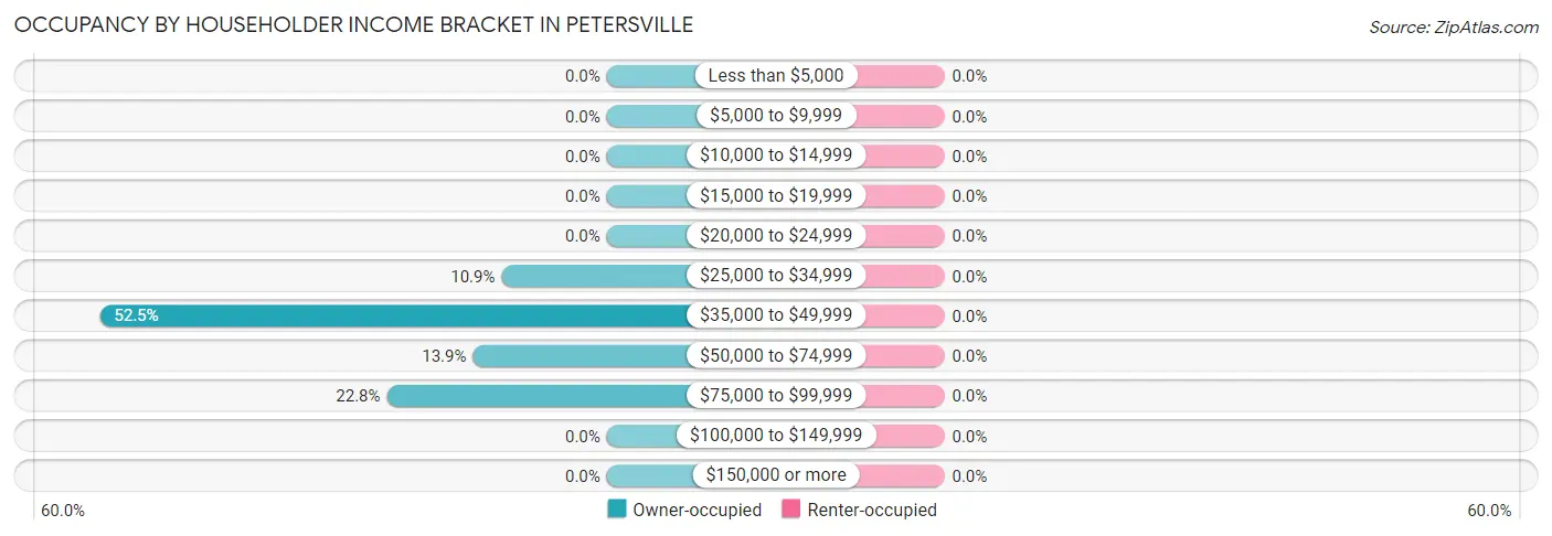 Occupancy by Householder Income Bracket in Petersville
