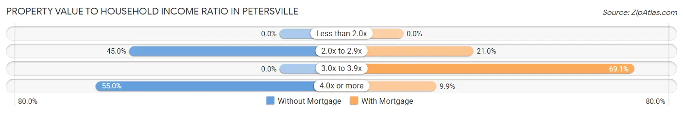 Property Value to Household Income Ratio in Petersville