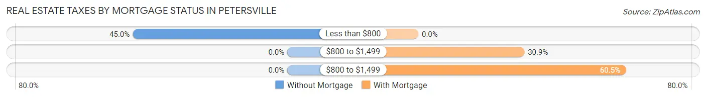 Real Estate Taxes by Mortgage Status in Petersville
