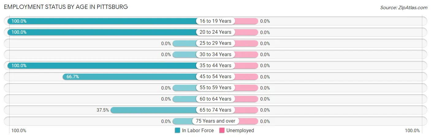 Employment Status by Age in Pittsburg
