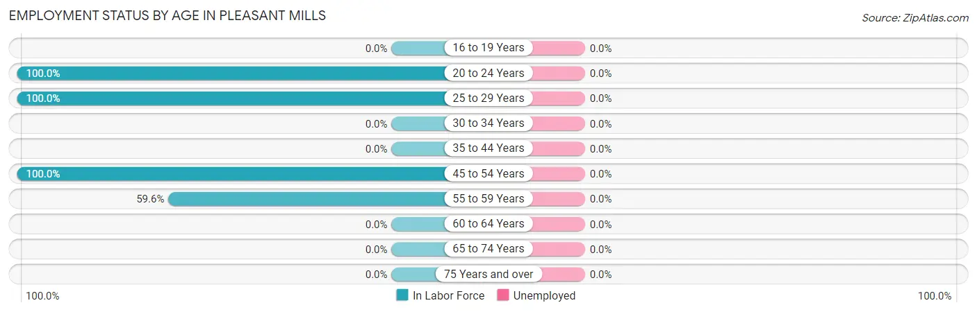 Employment Status by Age in Pleasant Mills