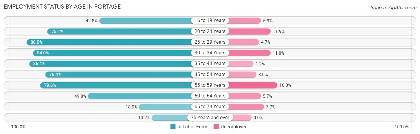 Employment Status by Age in Portage
