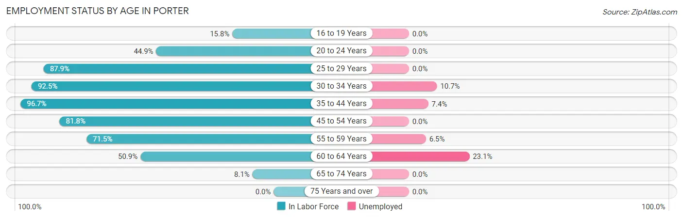 Employment Status by Age in Porter