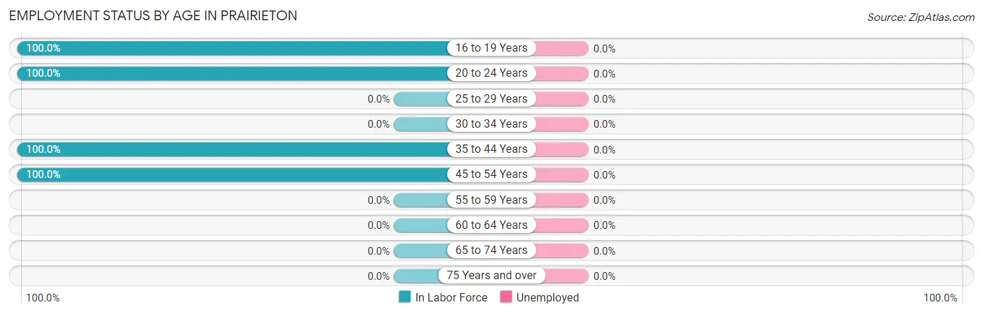 Employment Status by Age in Prairieton