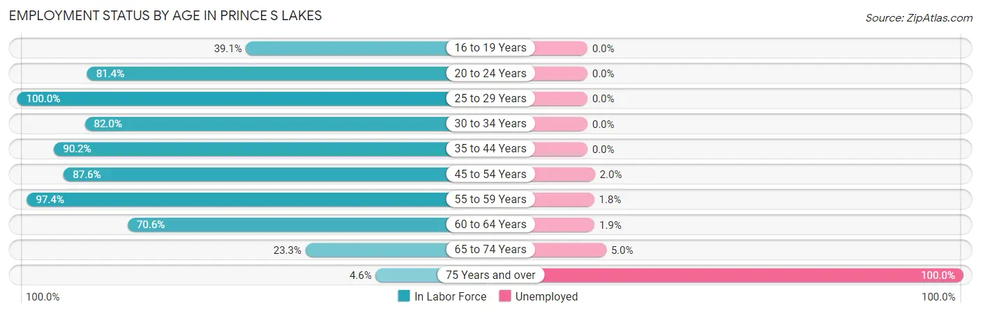 Employment Status by Age in Prince s Lakes