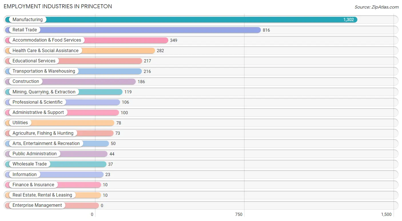 Employment Industries in Princeton