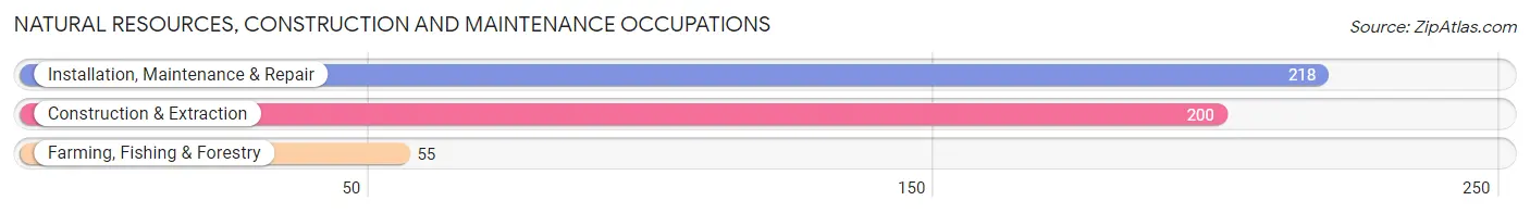 Natural Resources, Construction and Maintenance Occupations in Princeton