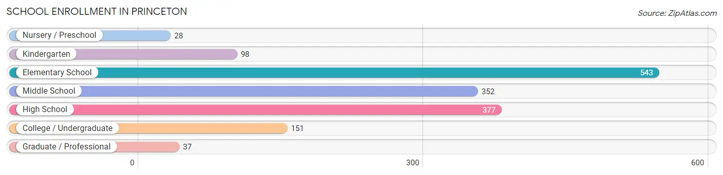 School Enrollment in Princeton