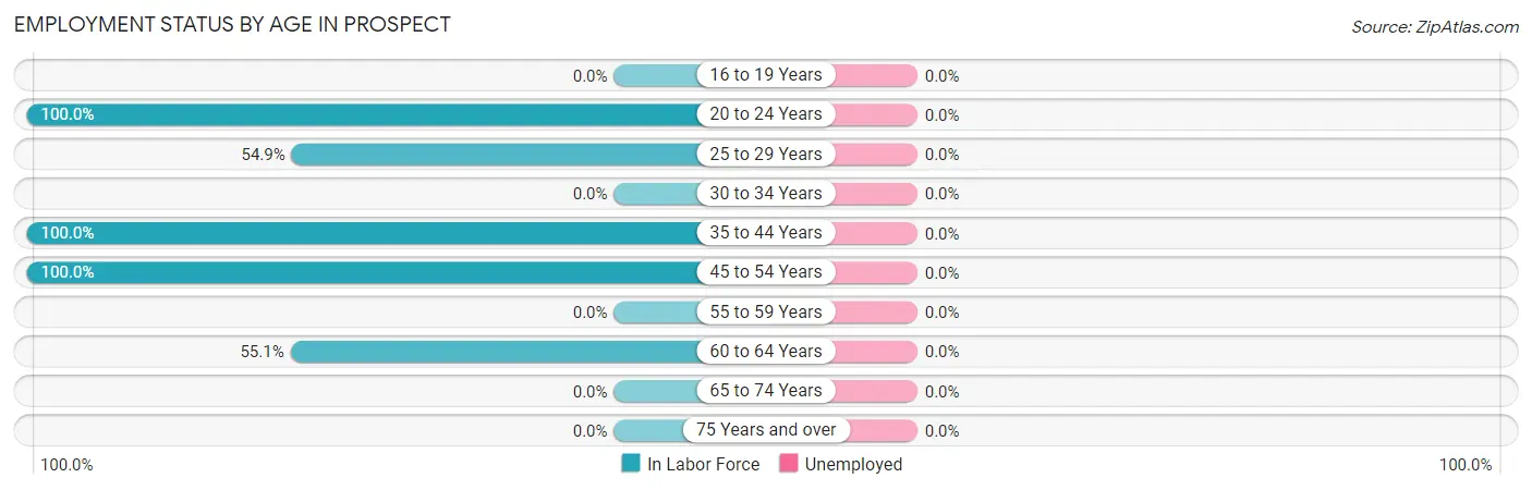 Employment Status by Age in Prospect
