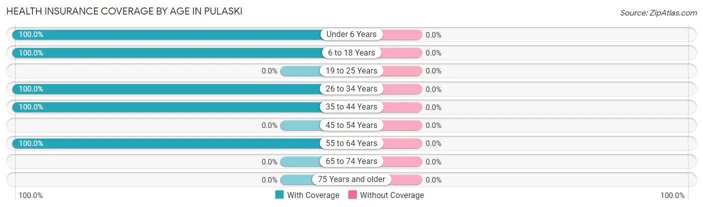 Health Insurance Coverage by Age in Pulaski