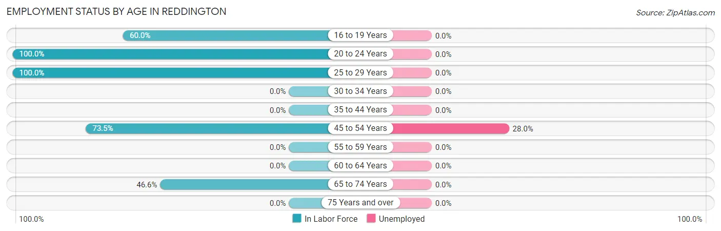 Employment Status by Age in Reddington