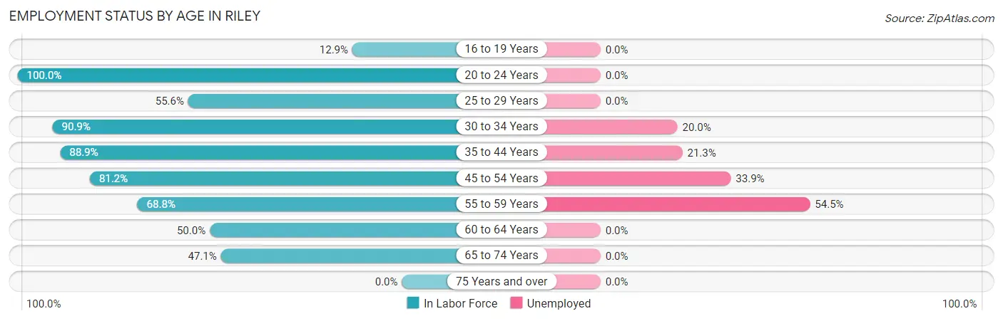 Employment Status by Age in Riley