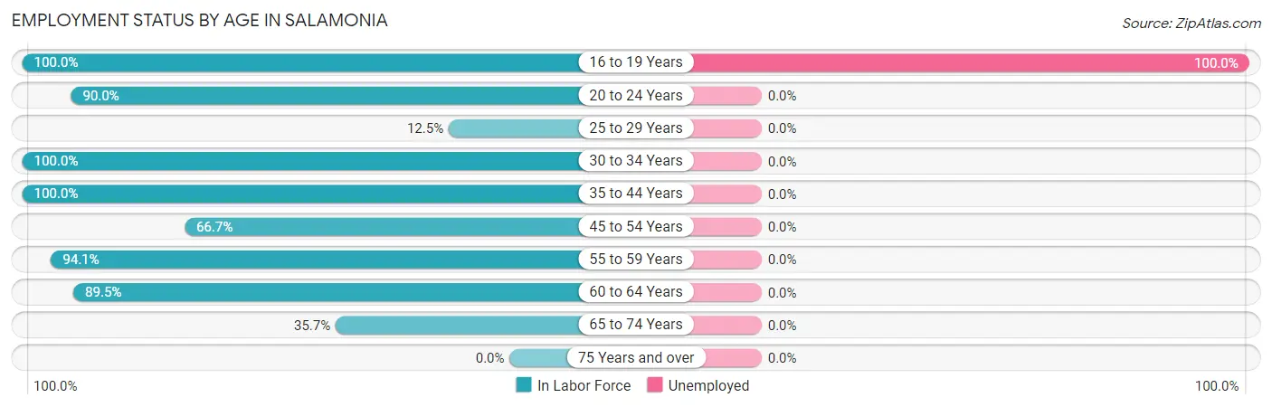 Employment Status by Age in Salamonia