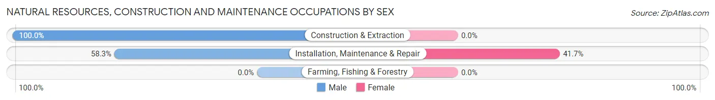 Natural Resources, Construction and Maintenance Occupations by Sex in Salt Creek Commons