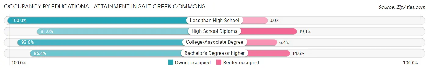 Occupancy by Educational Attainment in Salt Creek Commons